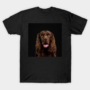 Sussex Spaniel T-Shirt